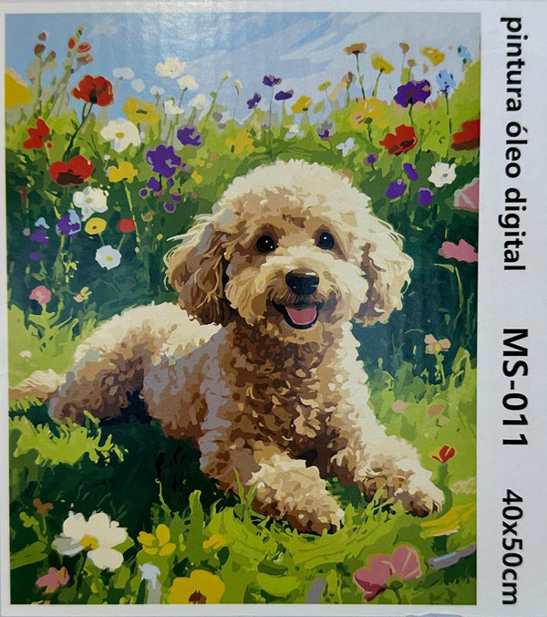 OP MINIMUNDO MS-011 40 X 50