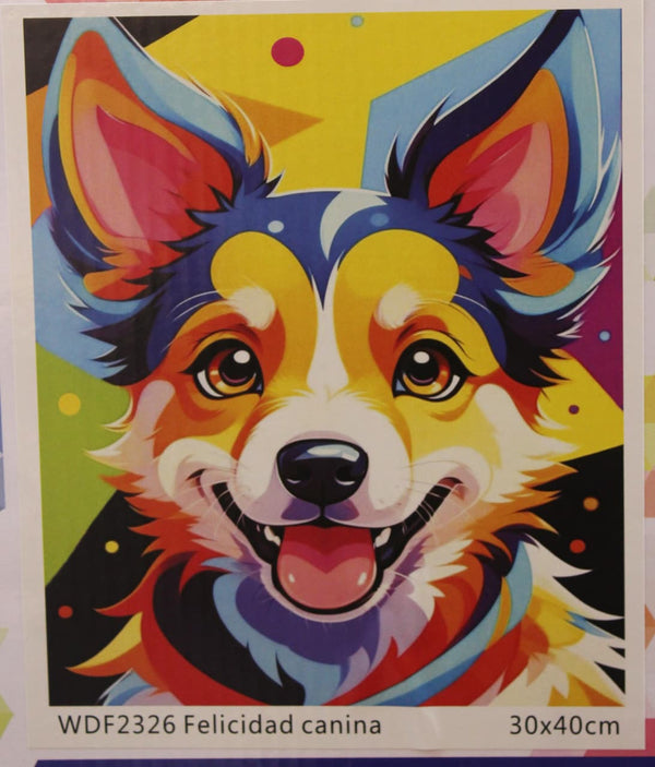 DP WDF2326 FELICIDAD CANINA 30X40
