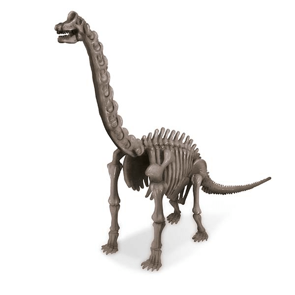 EXCAVA Y ARMA UN ESQUELETO DE BRACHIOSAURUS · vista 2 · Play! Board Game Store