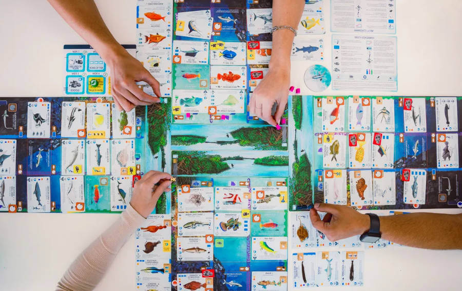 FINSPAN · vista 2 · Play! Board Game Store