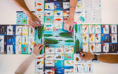 FINSPAN · vista 2 · Play! Board Game Store