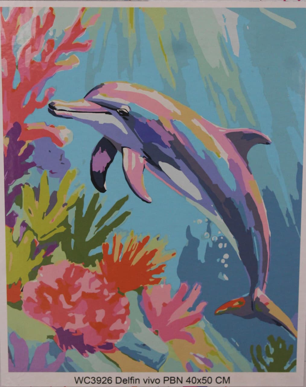 OP WC3926 DELFIN VIVO PBN 40X50