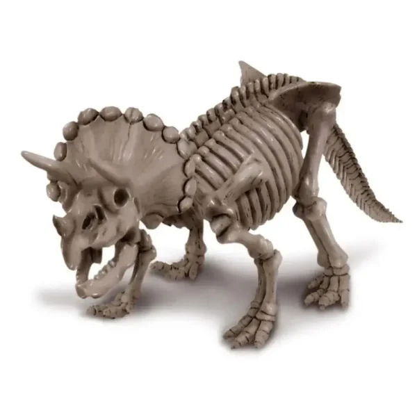 Excava y arma un esqueleto de triceratops - Imagen 2