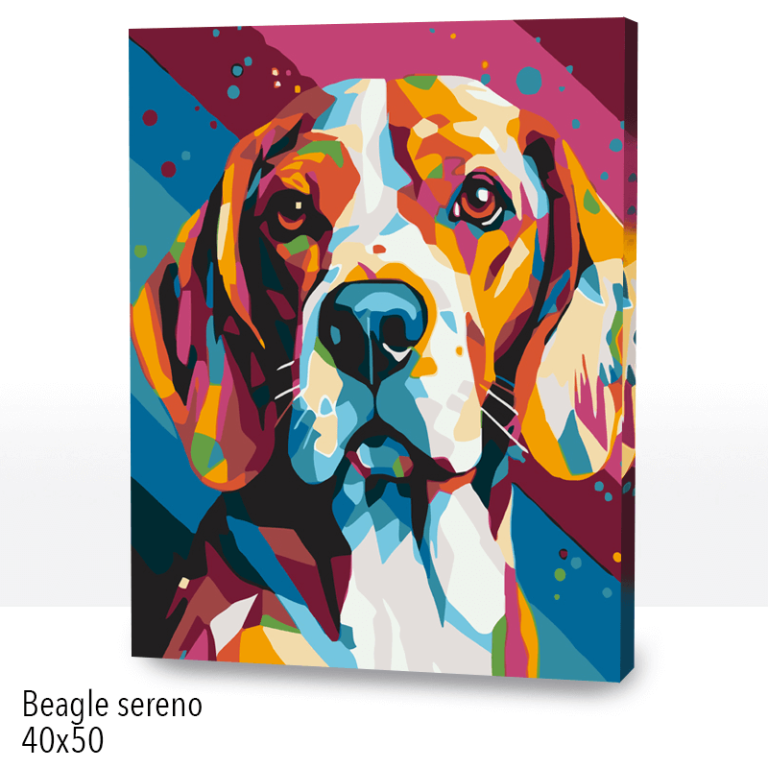 BEAGLE SERENO 40X50