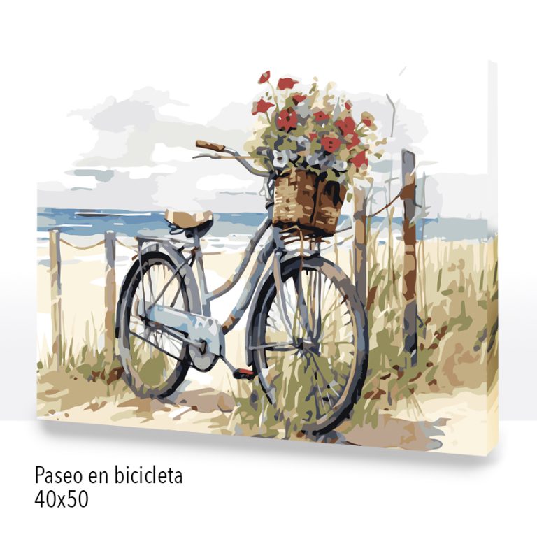 Paseo en bicicleta 40x50 24COLOR