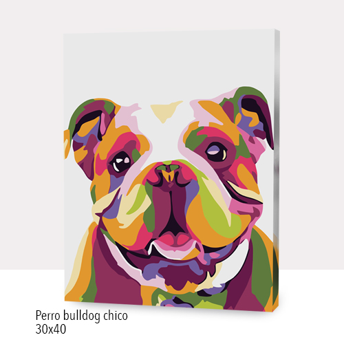 Perro bulldog chico 30x40 16COLOR (500x500) con nombre